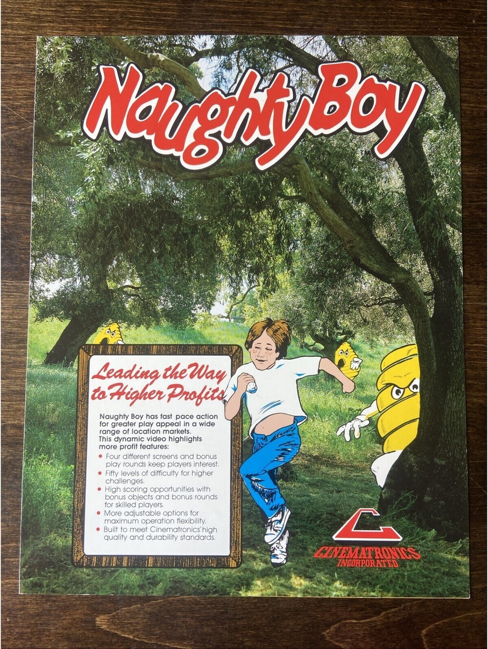 Cinematronics Naughty Boy Arcade Pinball FLYER Original Ad Promo Poster Not PCB